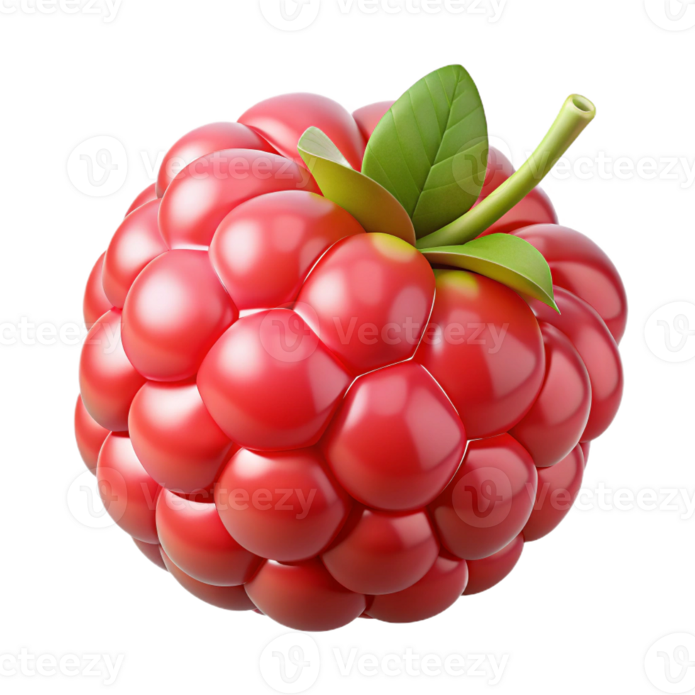 3D Render of a Raspberry png
