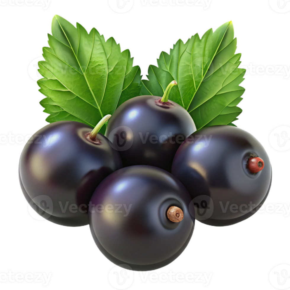 3D Render of Black Currants with Leaves png