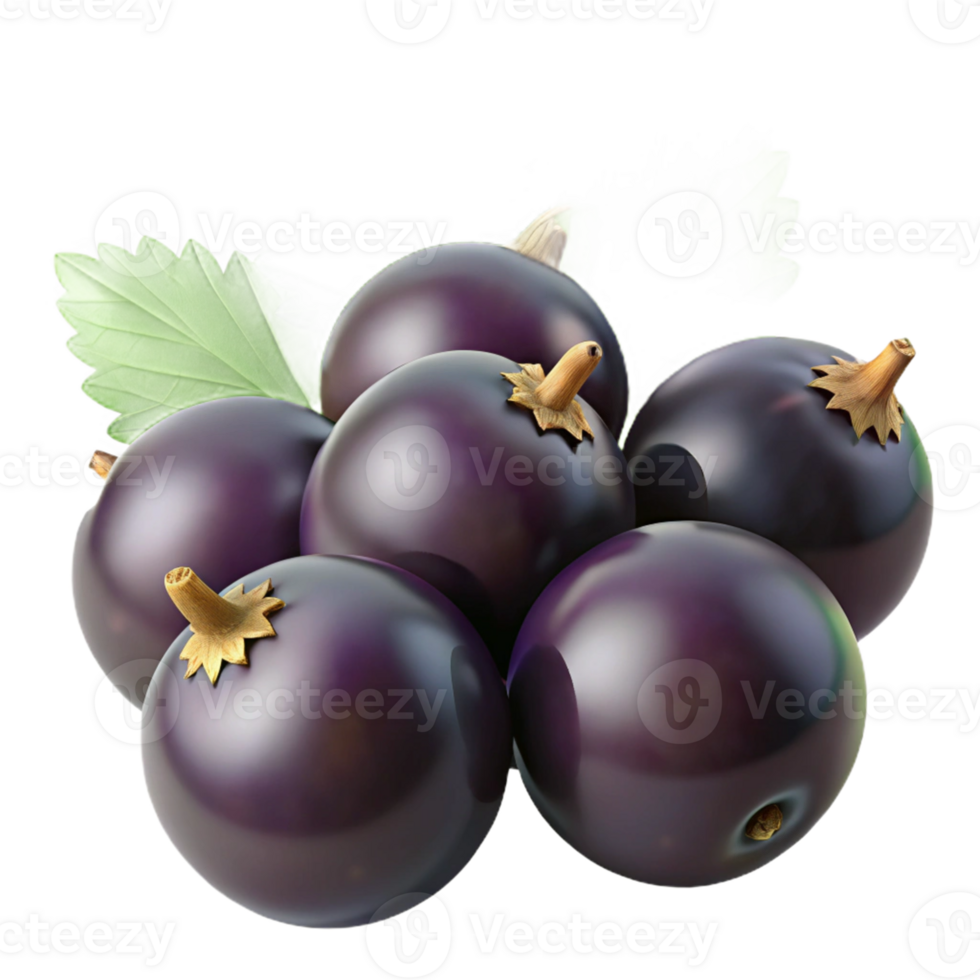 3D Render of Black Currants with Leaf png