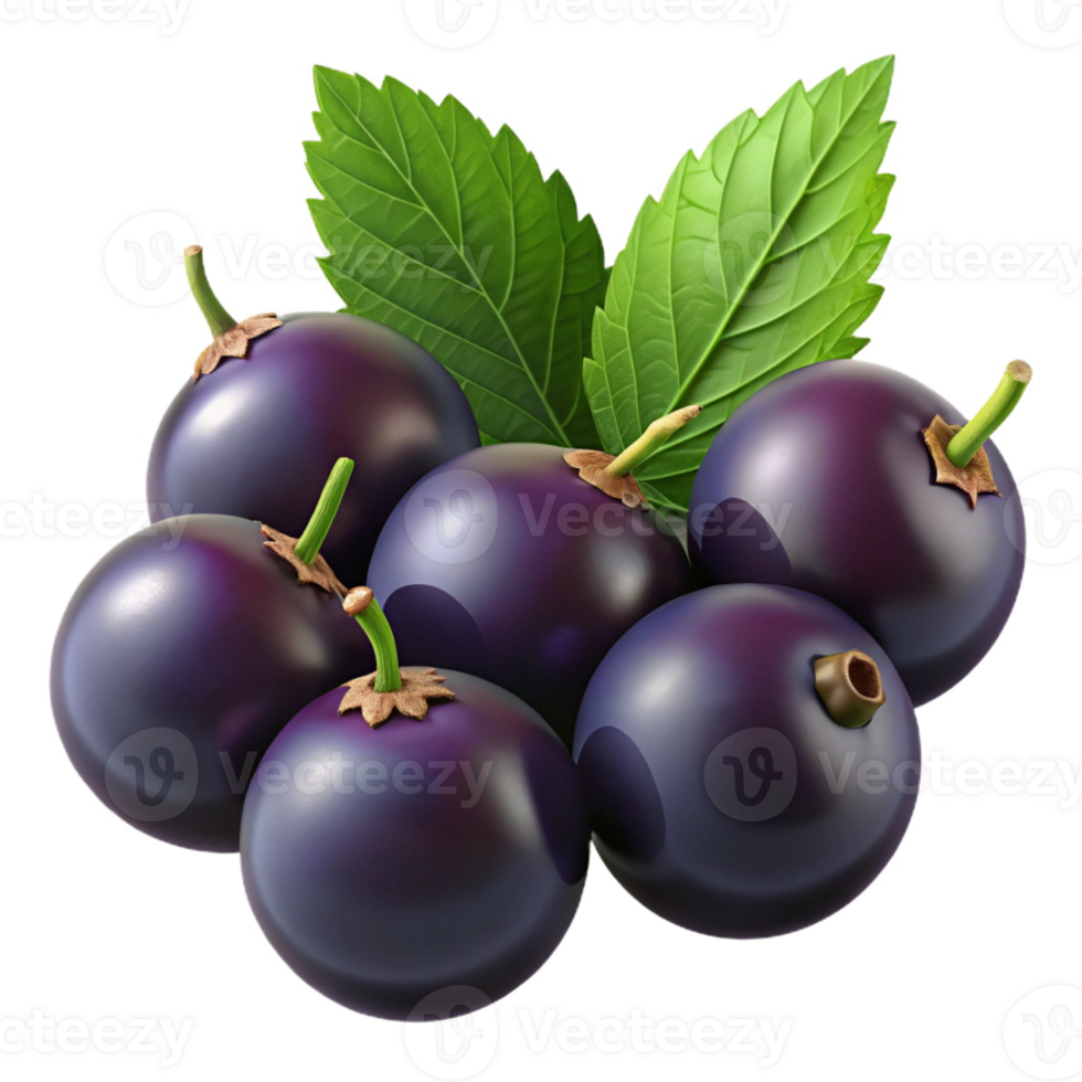 3D Render of Black Currants with Leaves png