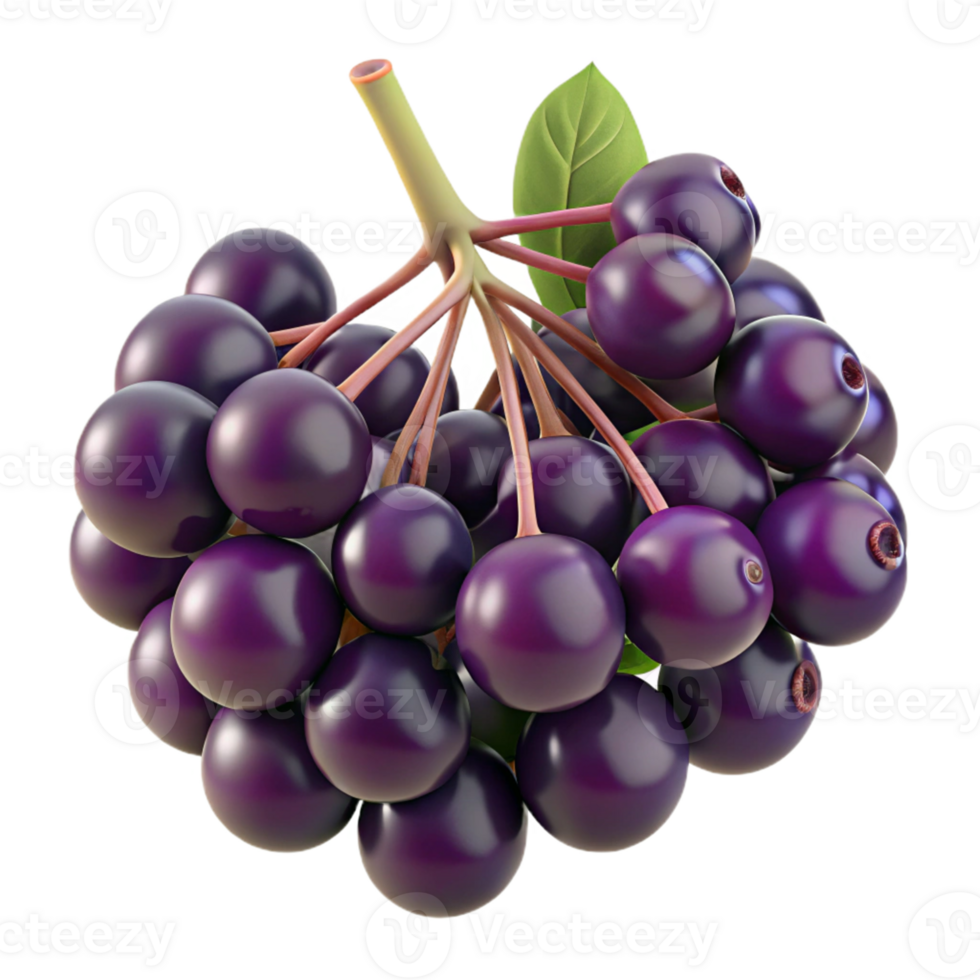 3D Render of Dark Purple Berries Bunch png