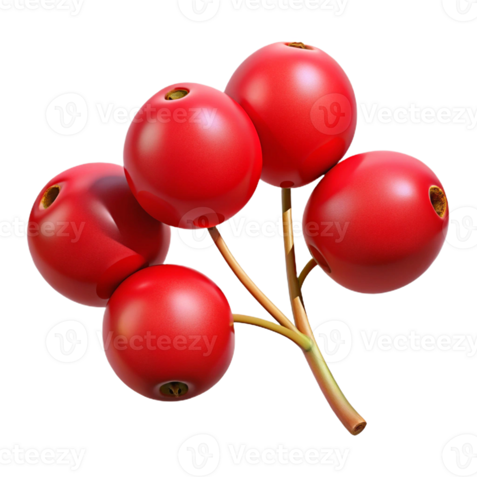 3D Render of Red Berries Cluster png