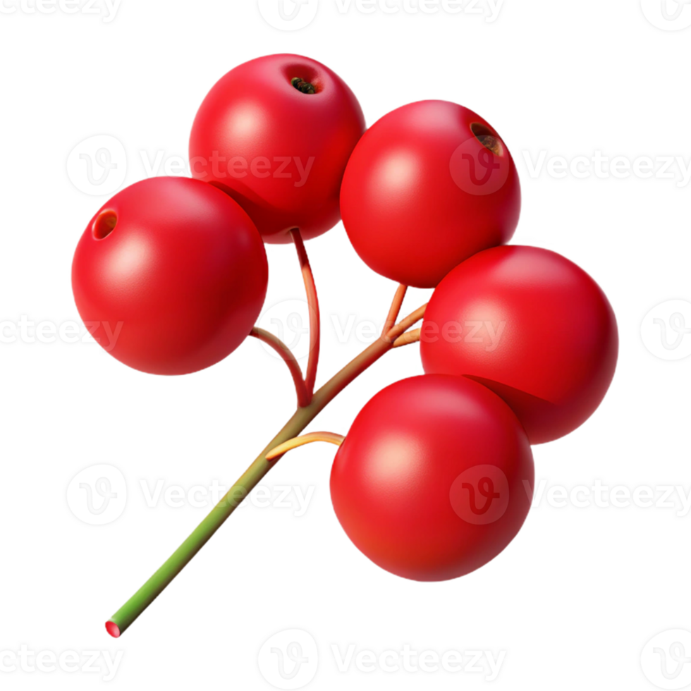 Red Berries 3D Illustration png