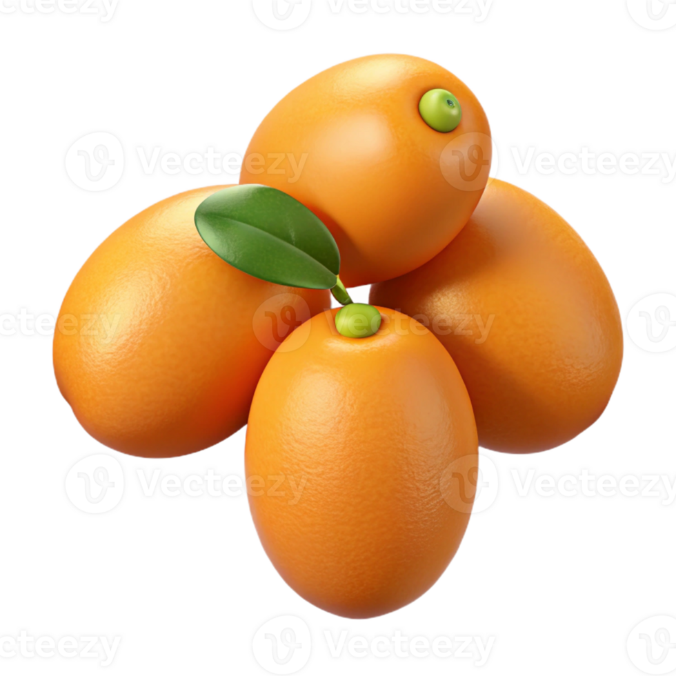 3D Render of Kumquats png