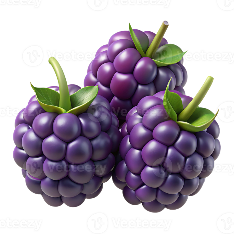 3D Illustration of Three Blackberries png