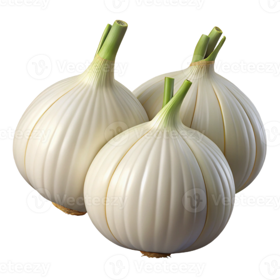 3D Render of Three White Garlic Bulbs png