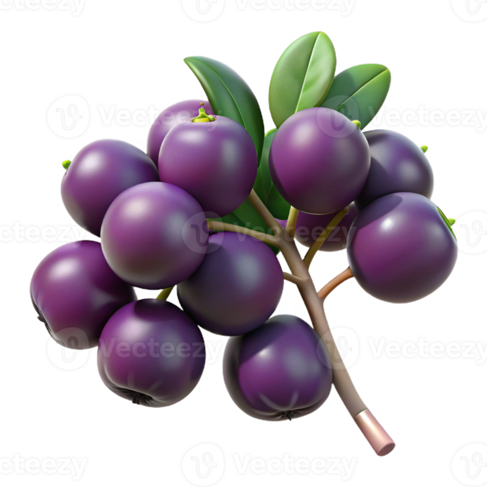 3D Render of Purple Berries on Branch png