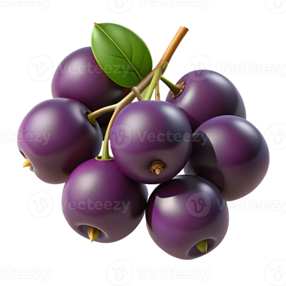 3D Illustration of Jaboticaba Fruit Cluster png