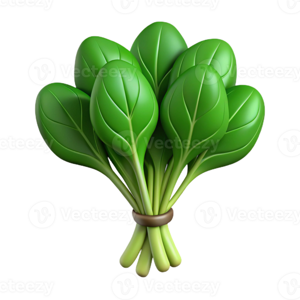 3D Render Bok Choy Illustration png