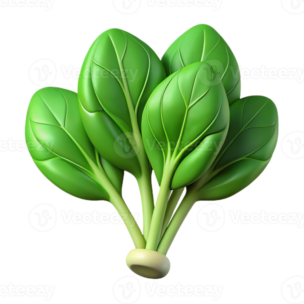 3D Render Green Leafy Vegetable Illustration png