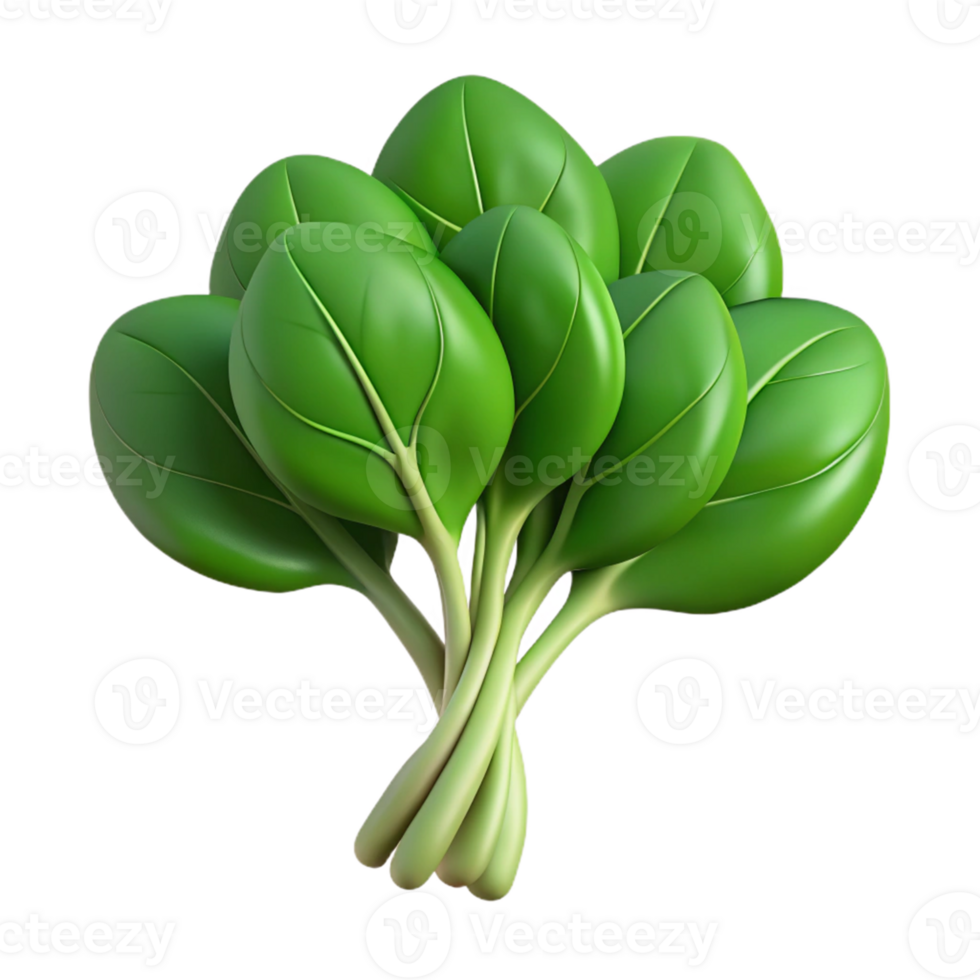 3D Render of Green Leafy Vegetable png