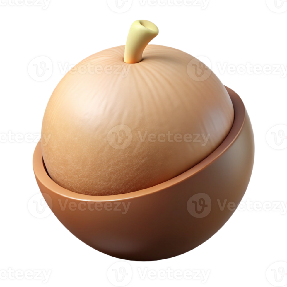 3D Render of Macadamia Nut in Shell png