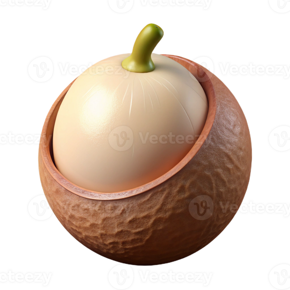 3D Render of Nut in Shell png