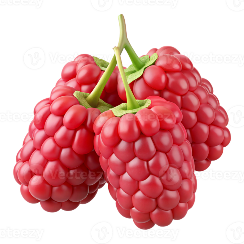 3D Render of Raspberries png