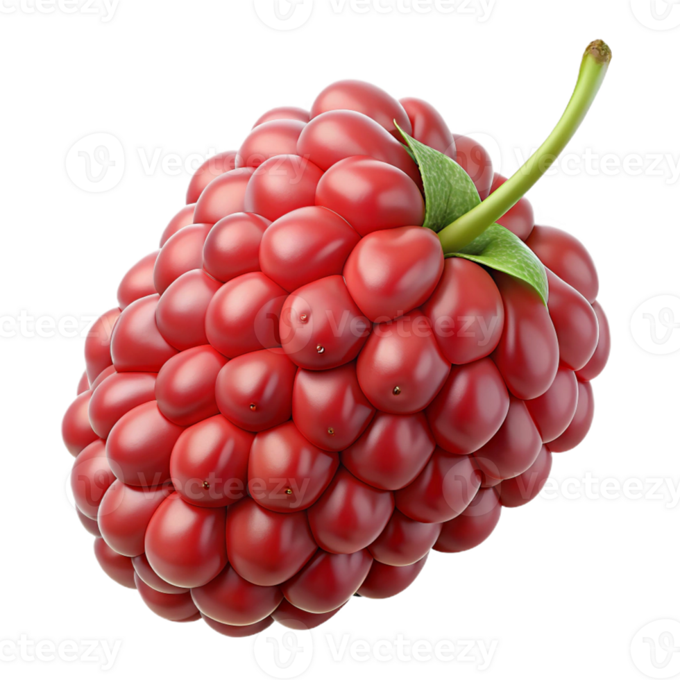 3D Render Red Raspberry Fruit Illustration png