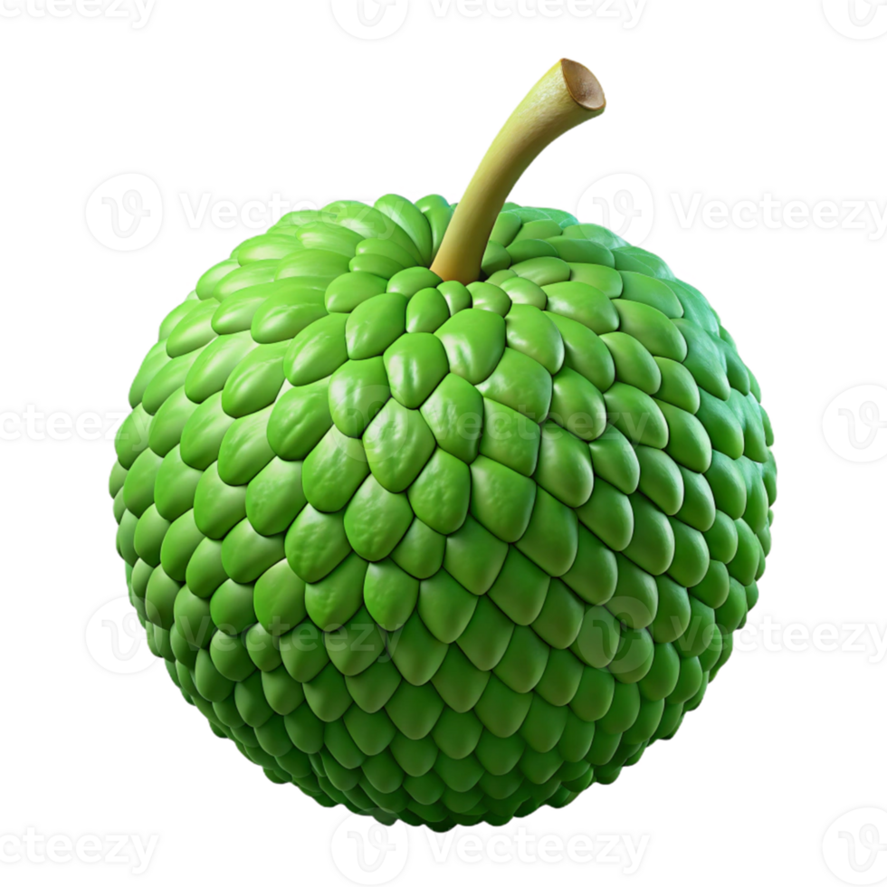 3D Render Green Fruit Illustration png