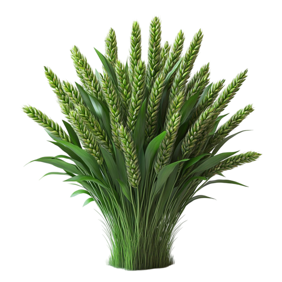 A vase with green grass in it png