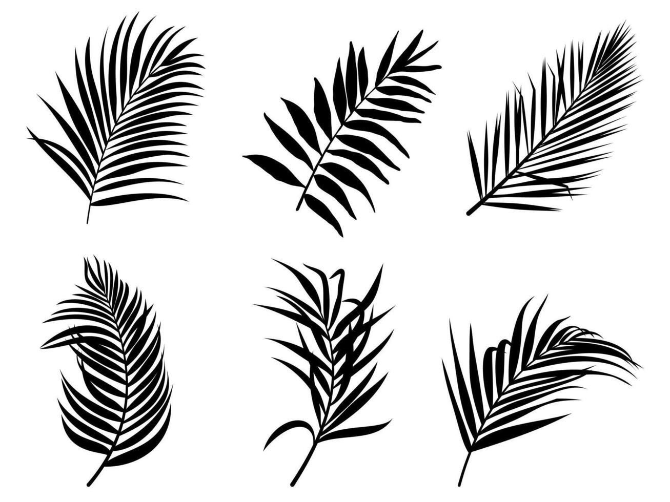 black topical plant leaves line drawn. Symbol silhouette style on white background. vector