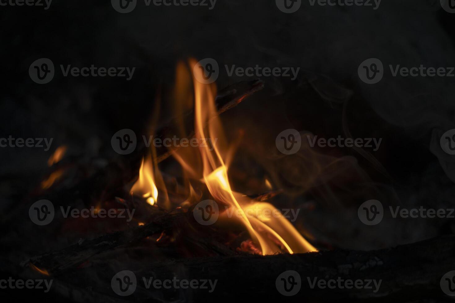 A fire in the woods. Flames from firewood. Picnic in the wilderness. photo