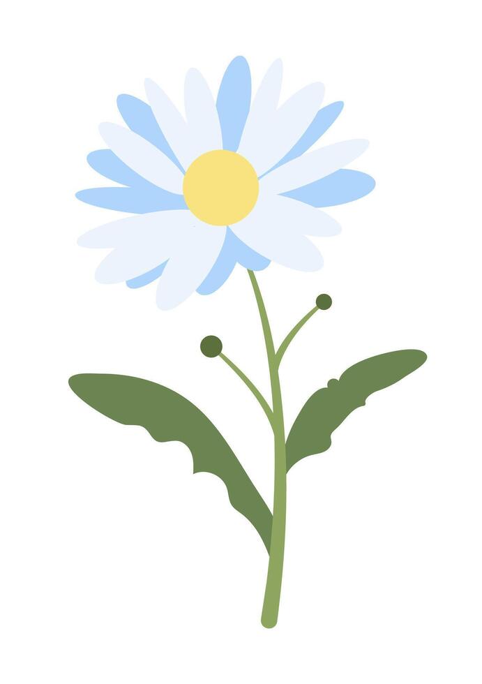Flat Simple Daisy Isolated on White Background. Spring Flower Chamomile. Flowers Bloom Element. Sticker, Print for Easter Spring Holidays, Banners, Posters, Cards, Web. Folk Style. vector