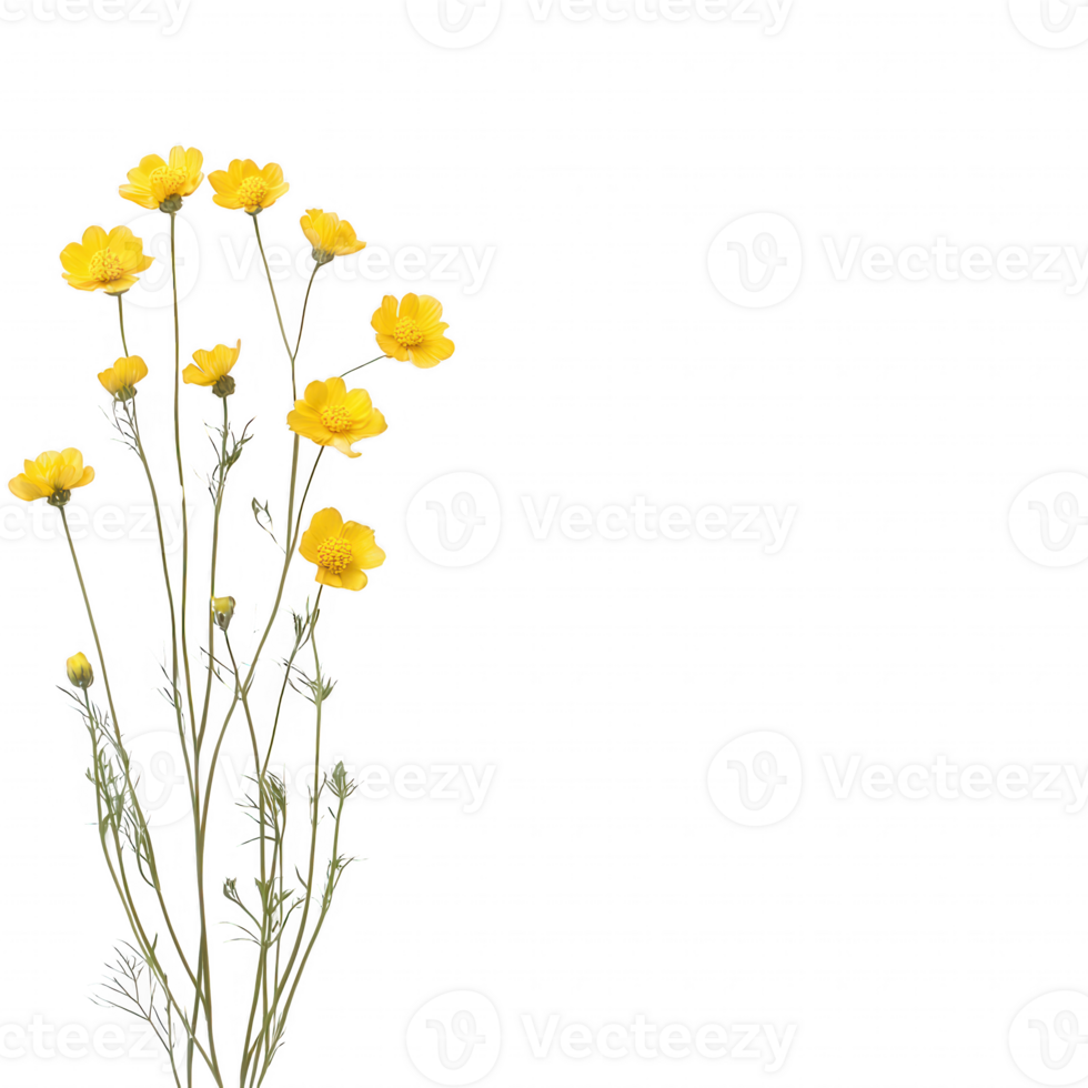 A vibrant bouquet of yellow wildflowers on a clear background, representing nature's beauty. png
