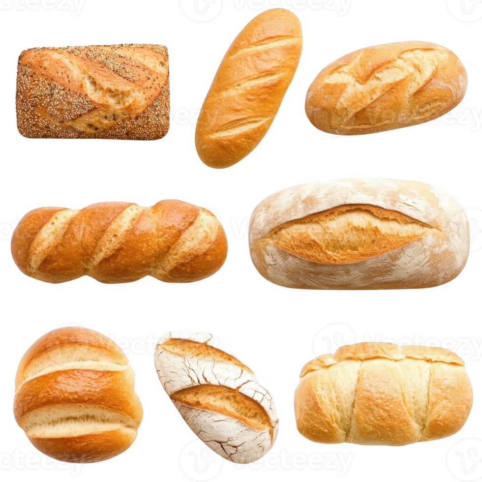 A variety of fresh bread loaves displayed in an appetizing arrangement. png