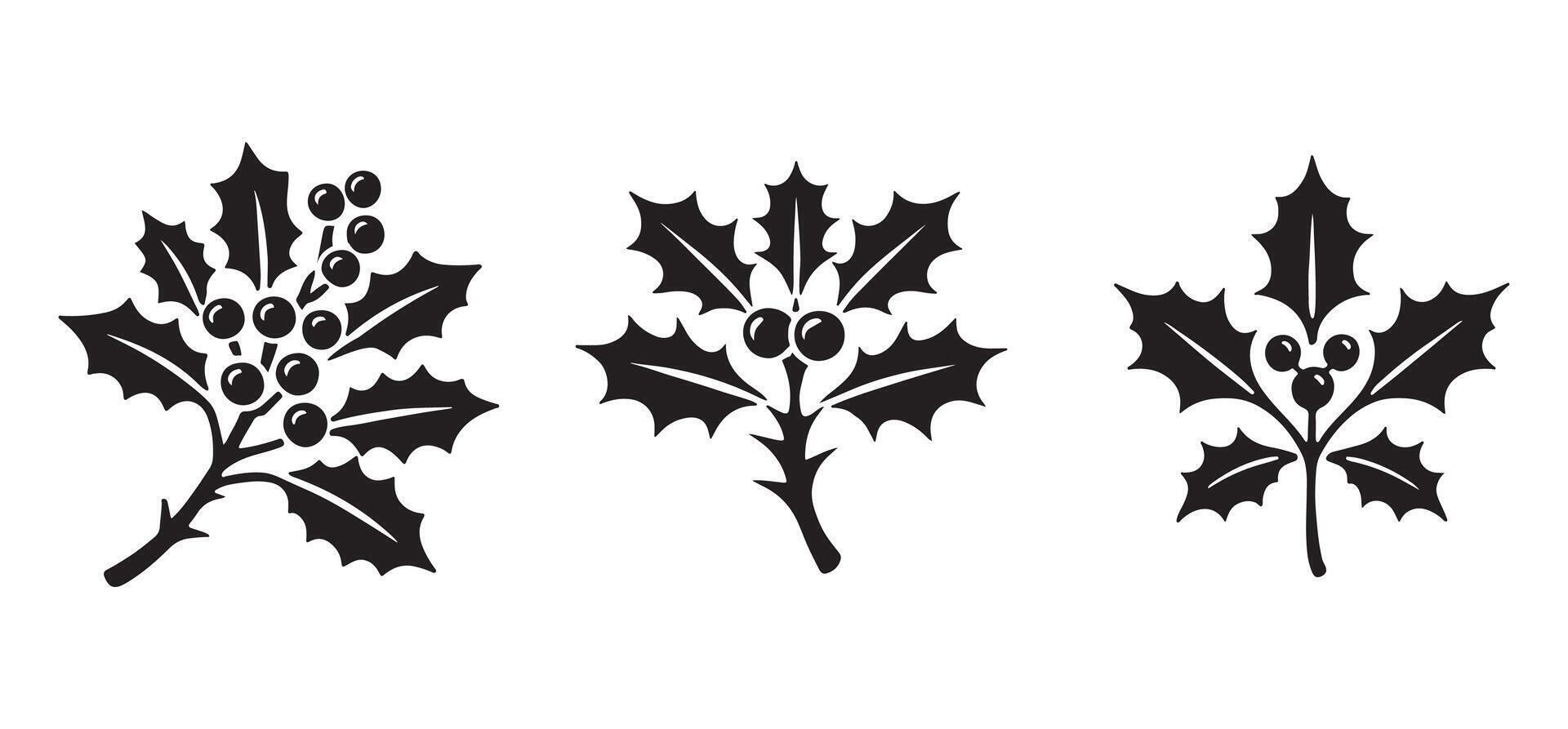 Elegant Holly Berry Silhouette Illustrations for Festive Designs vector