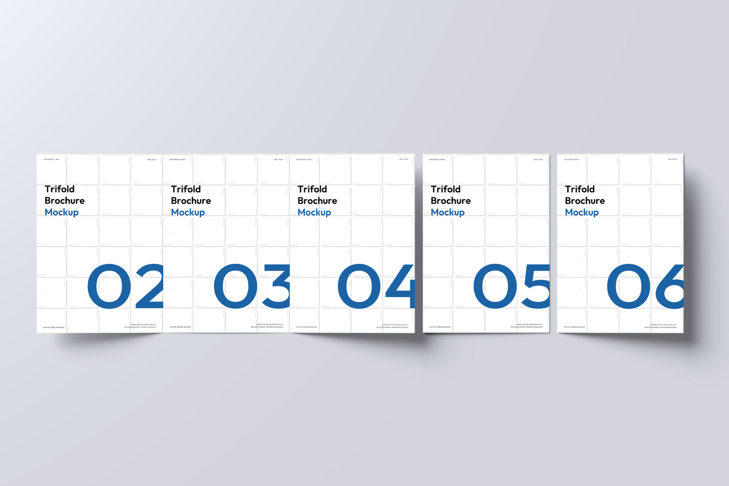 Trifold Web Mockup psd