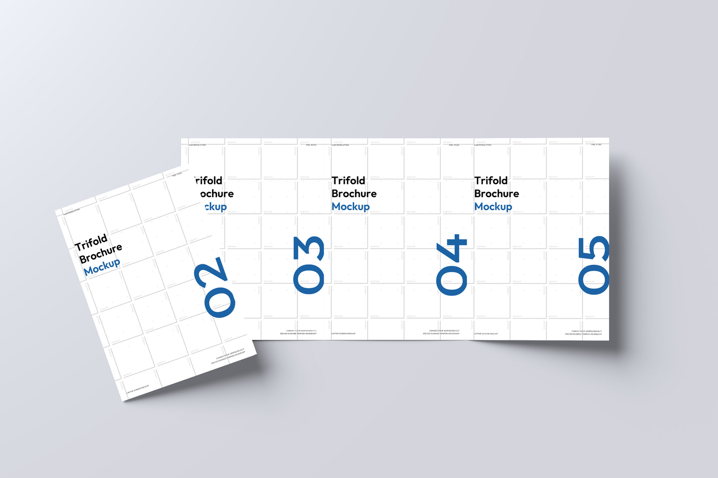 Design Trifold Website Mockup psd