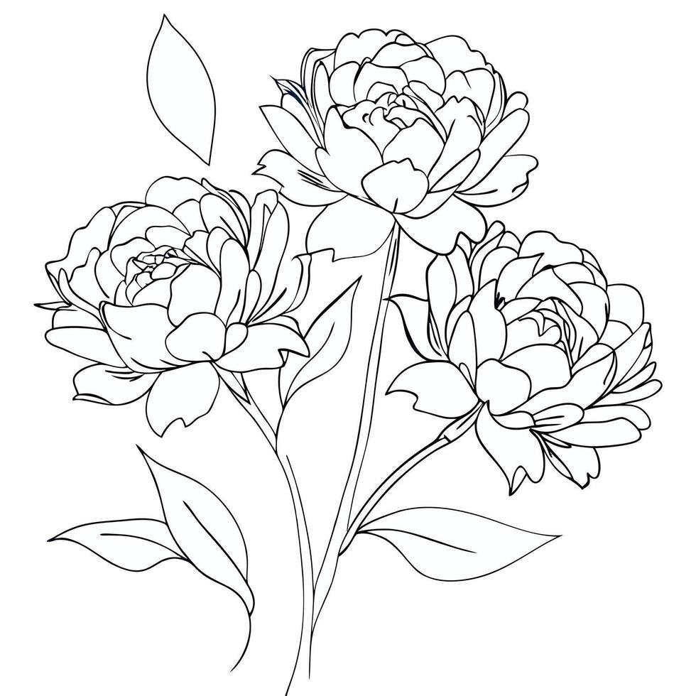 Hand drawn peony flower coloring book page line art drawing for children and adults vector