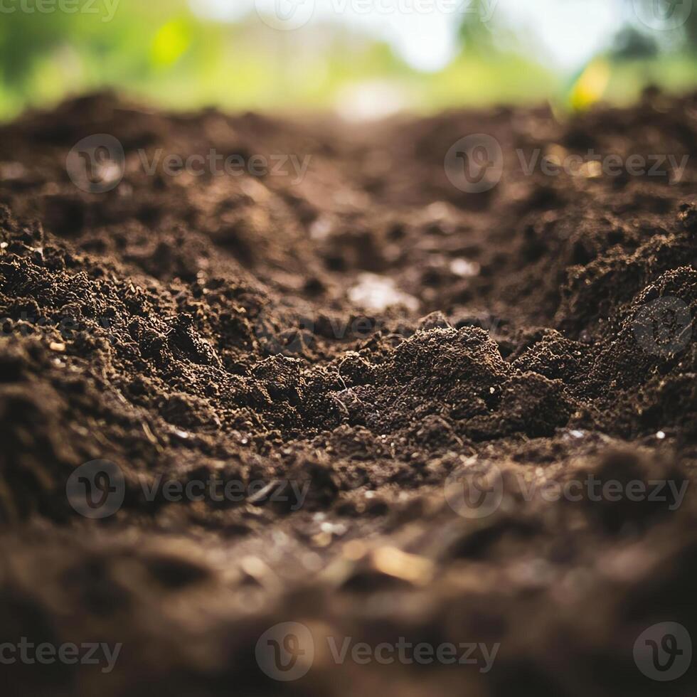 Close-up of rich soil in a garden, ready for planting and gardening enthusiasts. photo