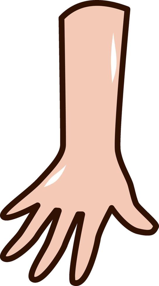 Illustration of hand vector