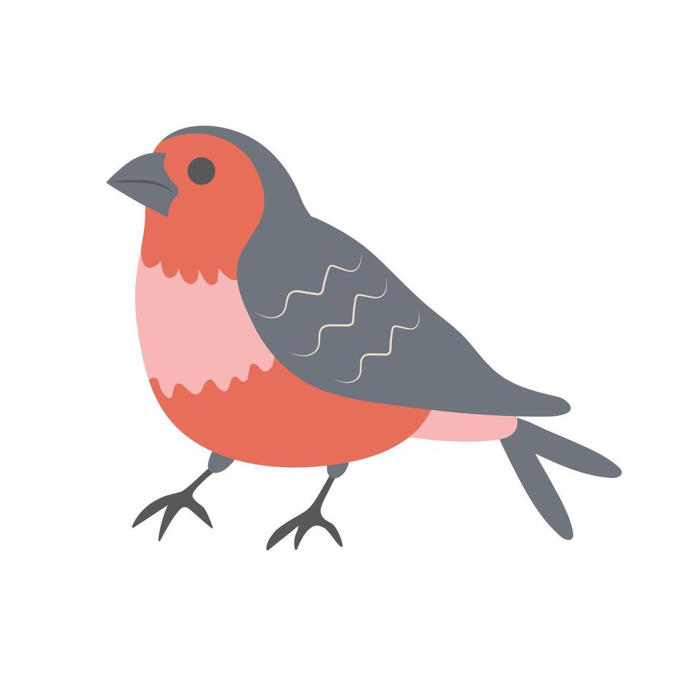 Cute bullfinch. Cartoon character. Forest bird isolated on white background. vector