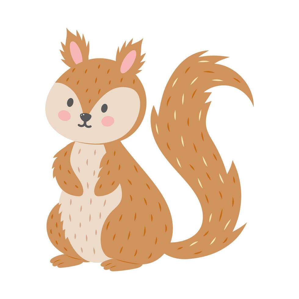 Cute squirrel. Cartoon character. Forest animal isolated on white background. vector