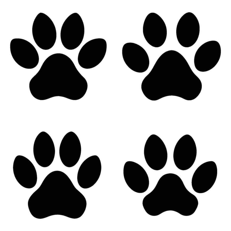 Paw Print Illustration vector