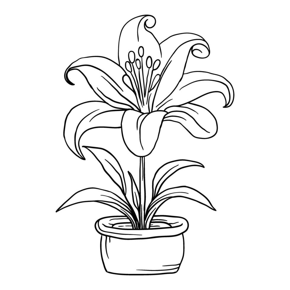 Hand drawing style of outline flower vector