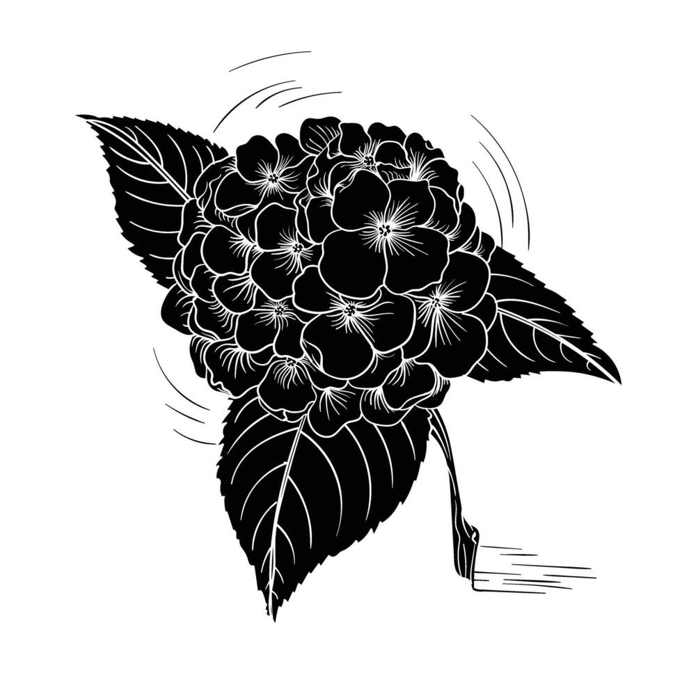 Hand drawing style of flower vector