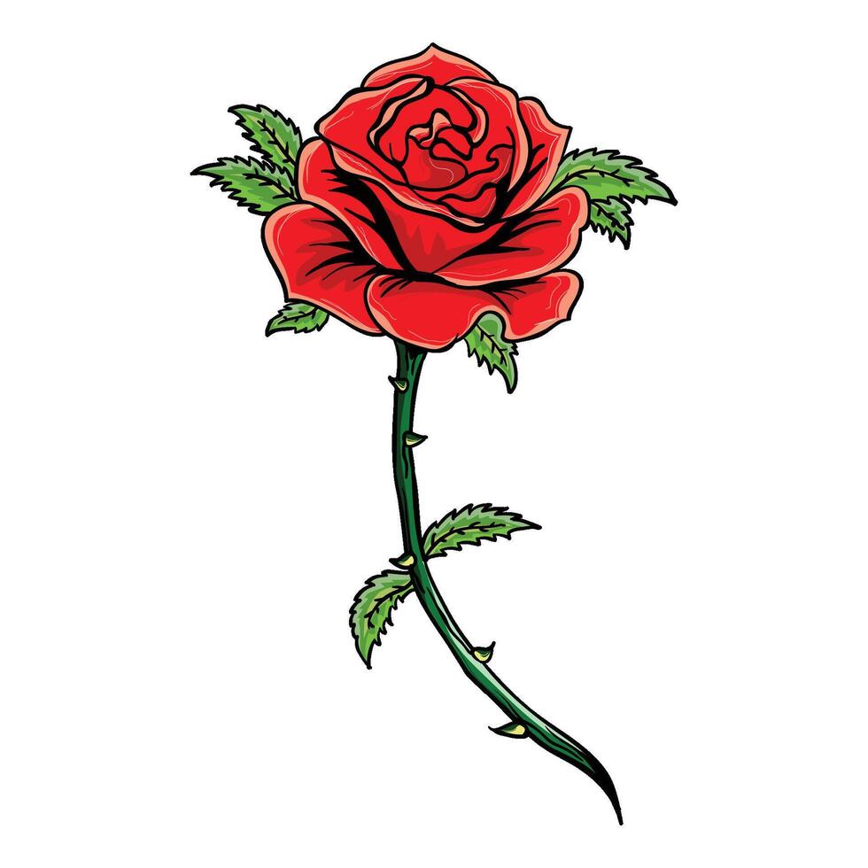 hand drawing Rose color vector