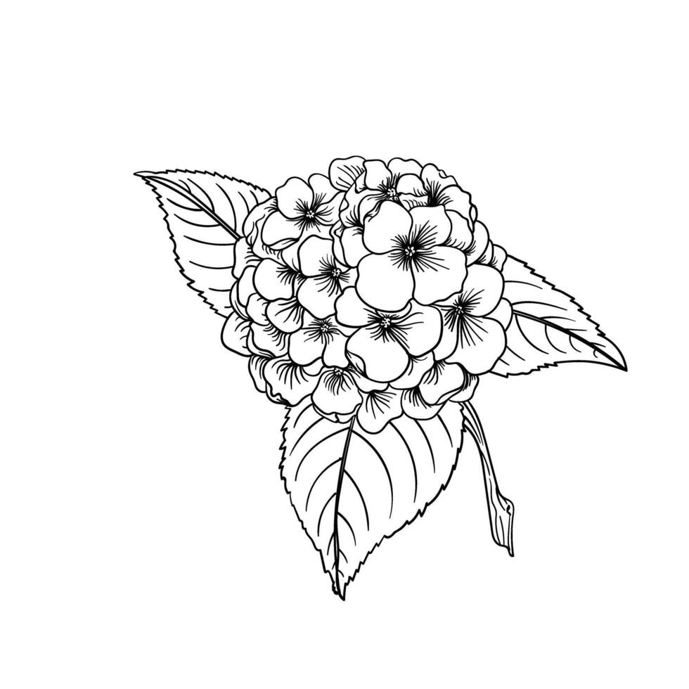 Hand drawing style of flowers vector
