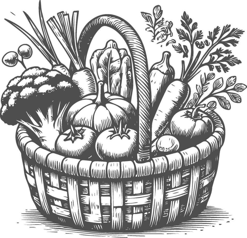 Hand Drawn Vegetable Basket Illustration Rustic Organic Produce Design vector