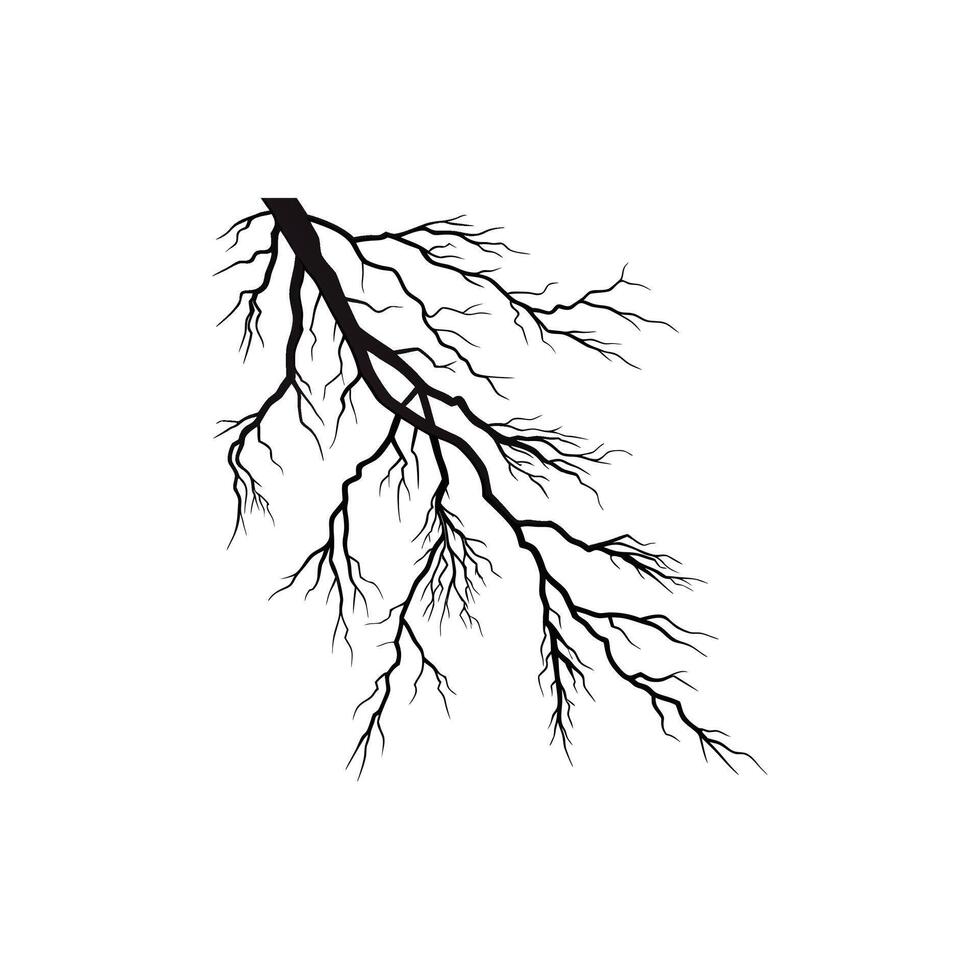 A black and white drawing of a tree with branches vector