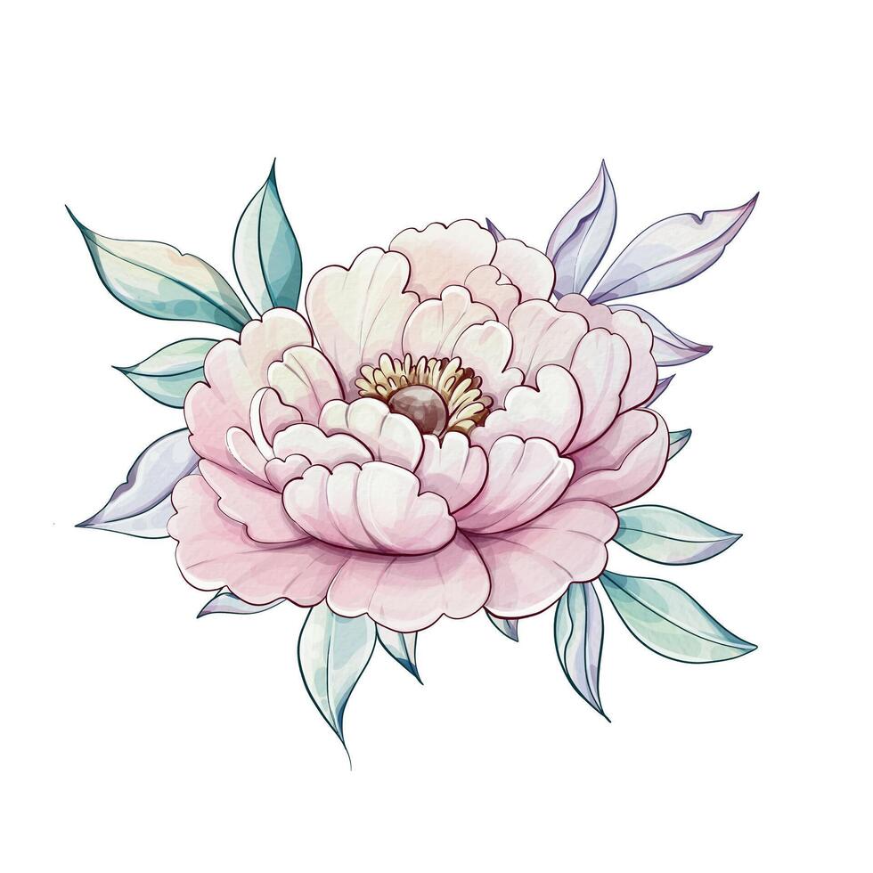 Graceful pink peony blooms with intricate petals surrounded by soft green leaves, embodying the charm of nature in watercolor art. vector