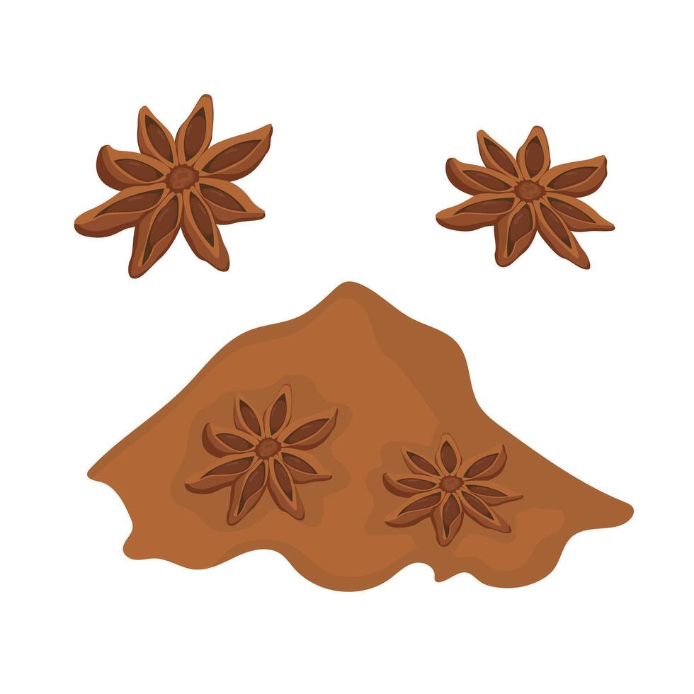 set of whole anise and powder. Spice logo on white background. vector