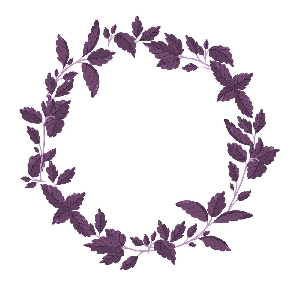 basil wreath. Fresh garden greenery image. Vitamin set. Natural spices. vector