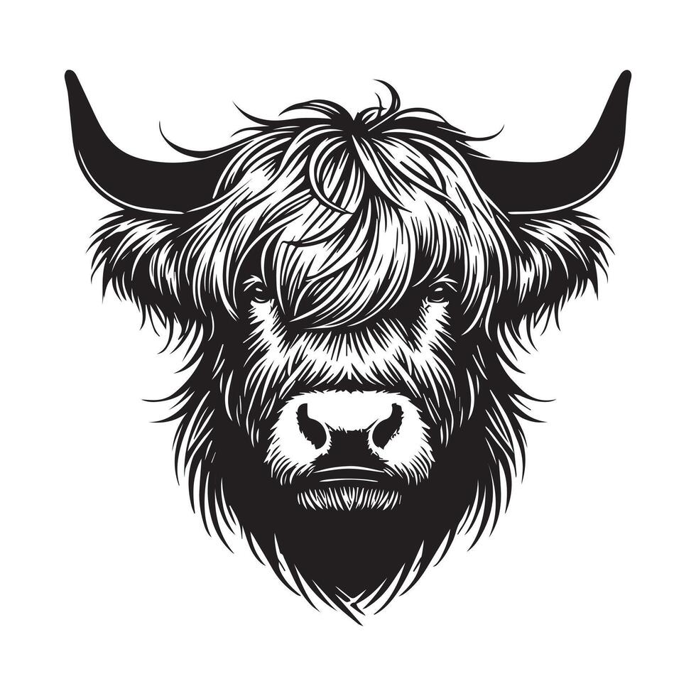 Precious Baby Highland Cattle Face Drawing for Kids vector