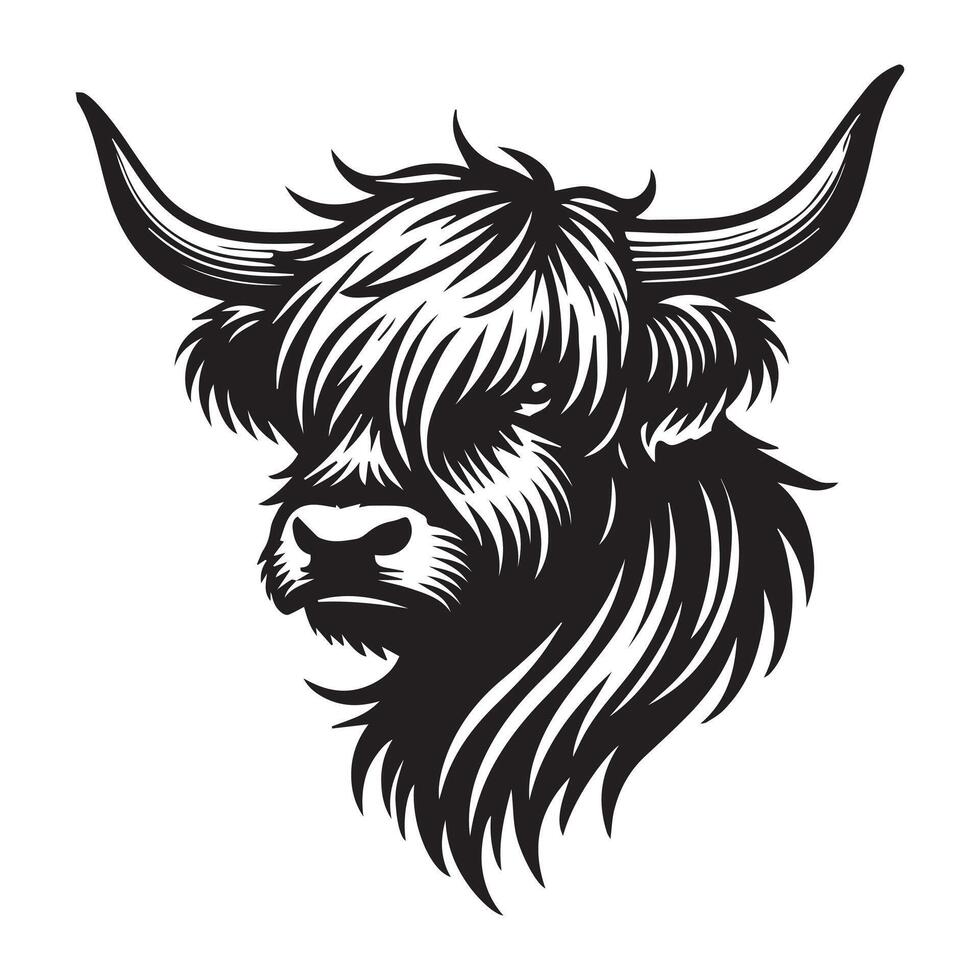 Charming Baby Highland Cattle Face Artwork for Wall Art vector