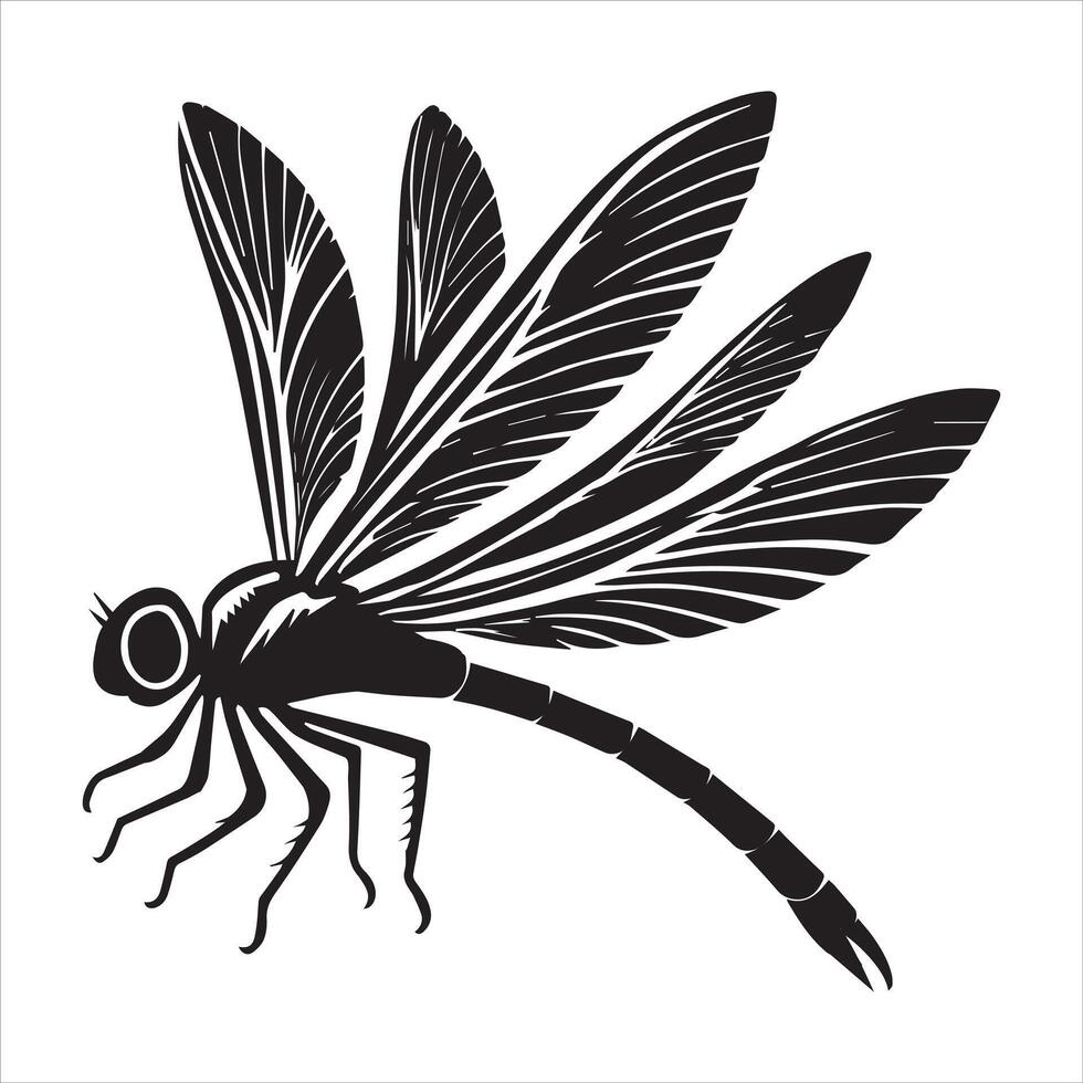 Colorful Dragonfly Insect Illustration Artwork vector