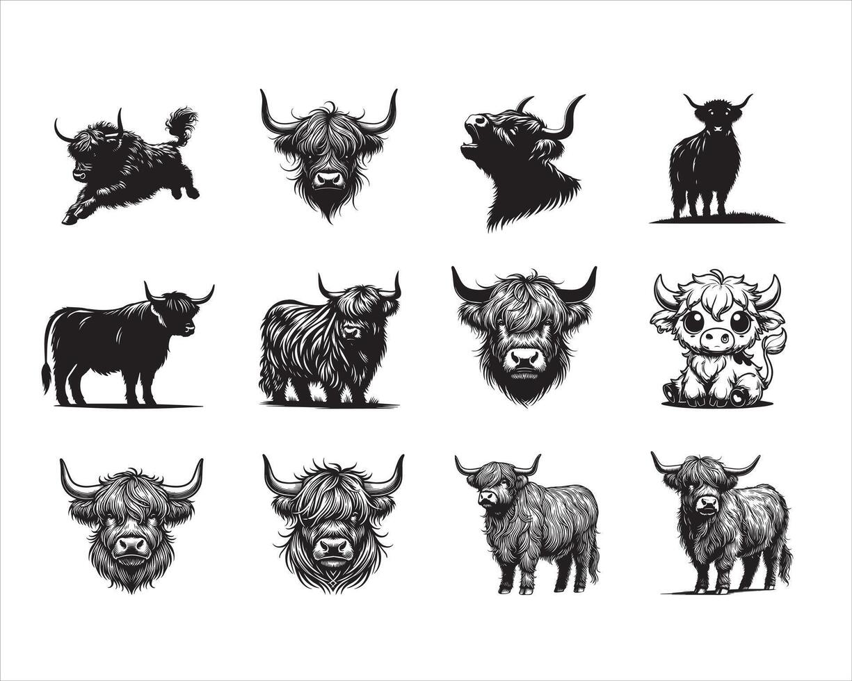 Cute Baby Highland cattle illustration , Highland Cow Clipart Bundle vector