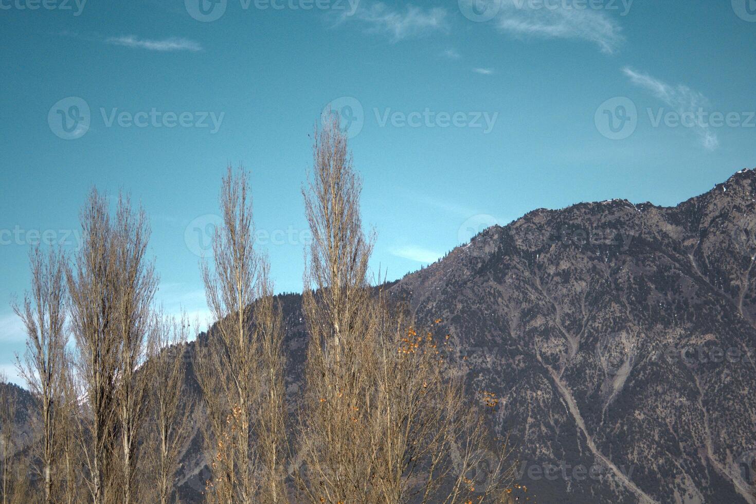 Scenic Rugged Mountain Landscape with Bare Poplar Trees Under a Clear Sky photo