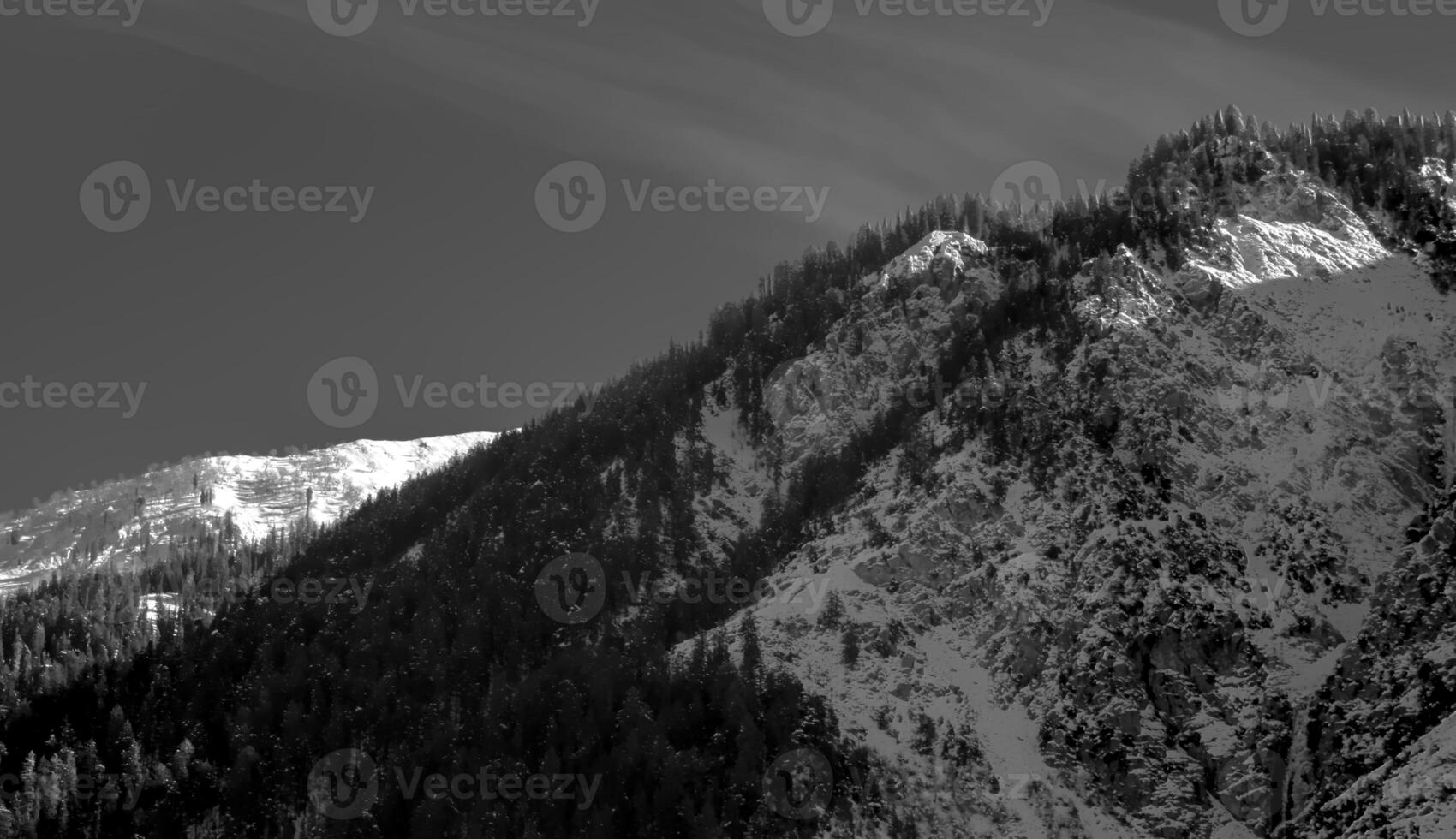 Black and White Photograph of a Sunlit Mountainside with a Forest photo